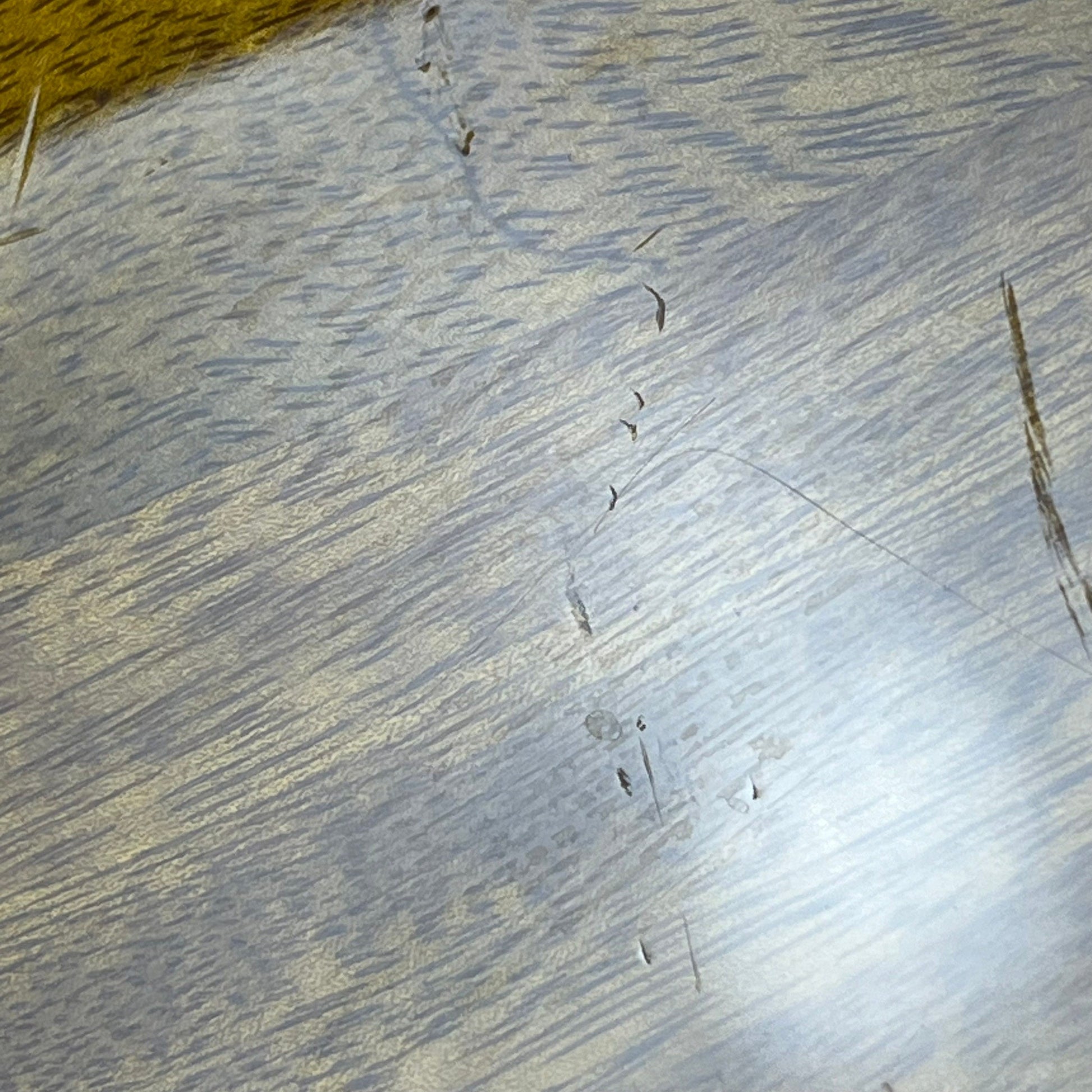 Bacchus Japan WL-4 MNG STB