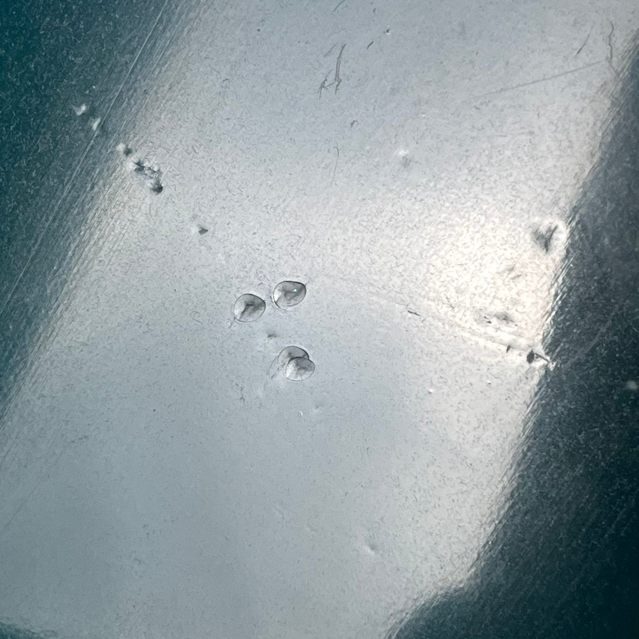 Bacchus Japan BJB-98 JIRO Jazz Bass