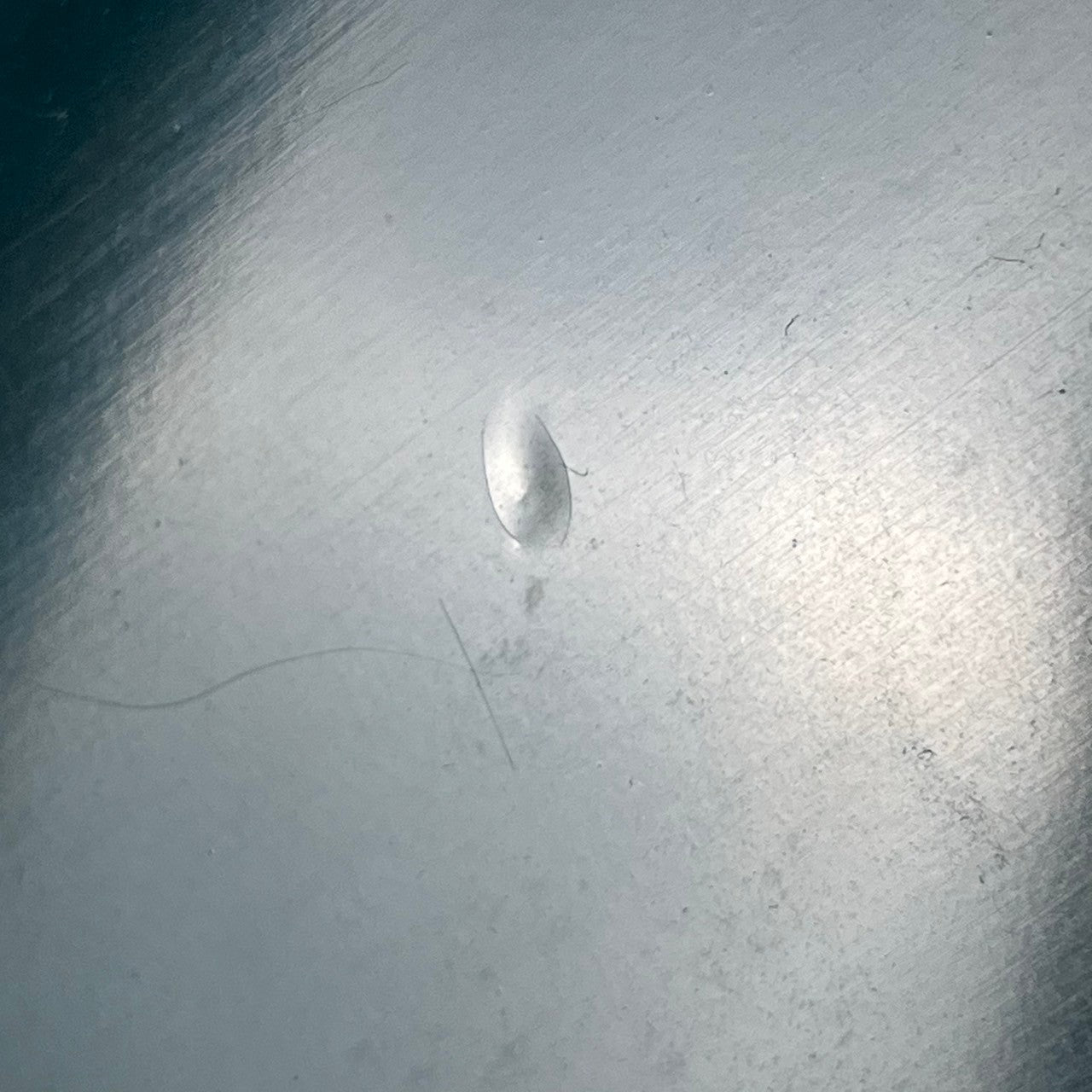 Bacchus Japan BJB-98 JIRO Jazz Bass