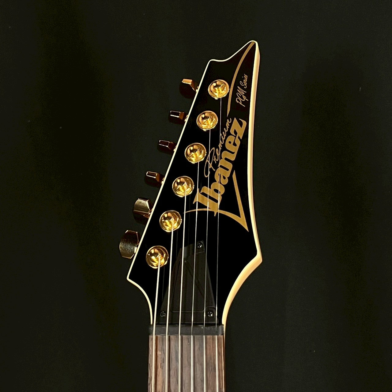 Ibanez PGM50