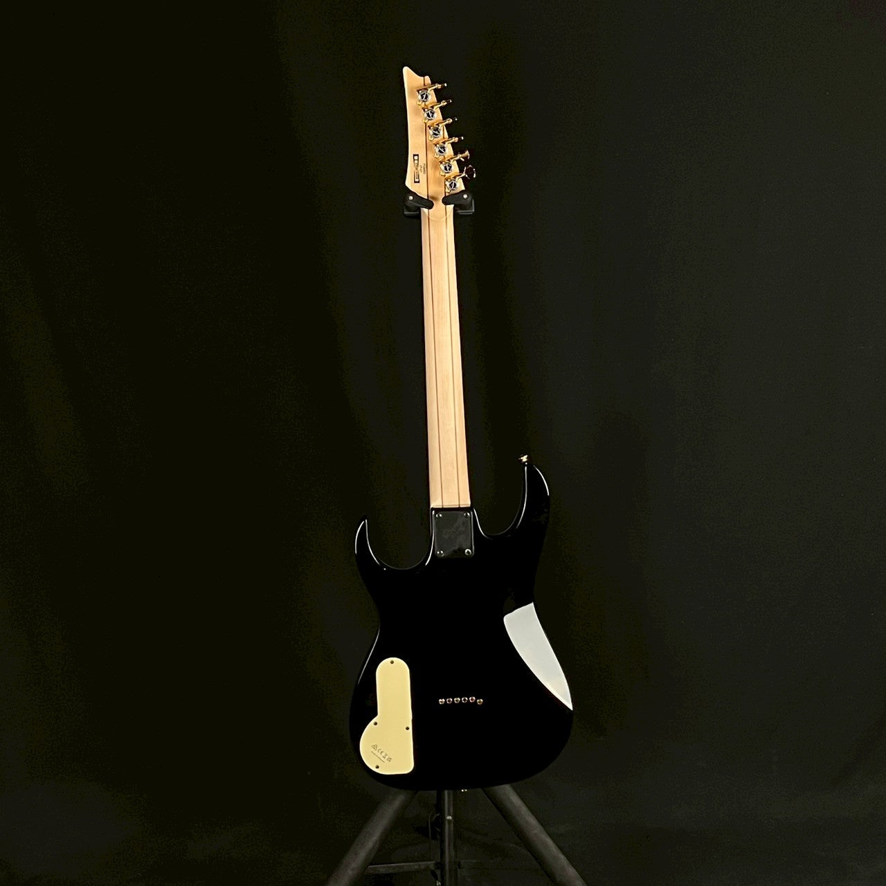 Ibanez PGM50