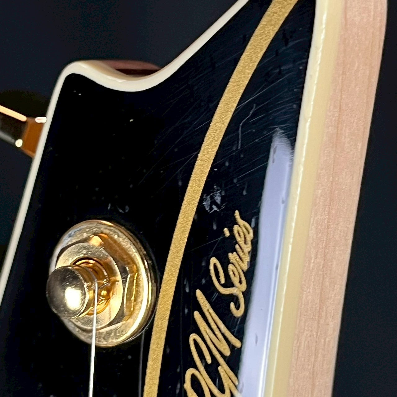 Ibanez PGM50