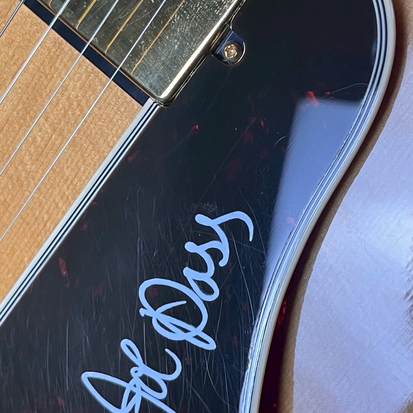 Epiphone Korea Joe Pass Emperor 1993