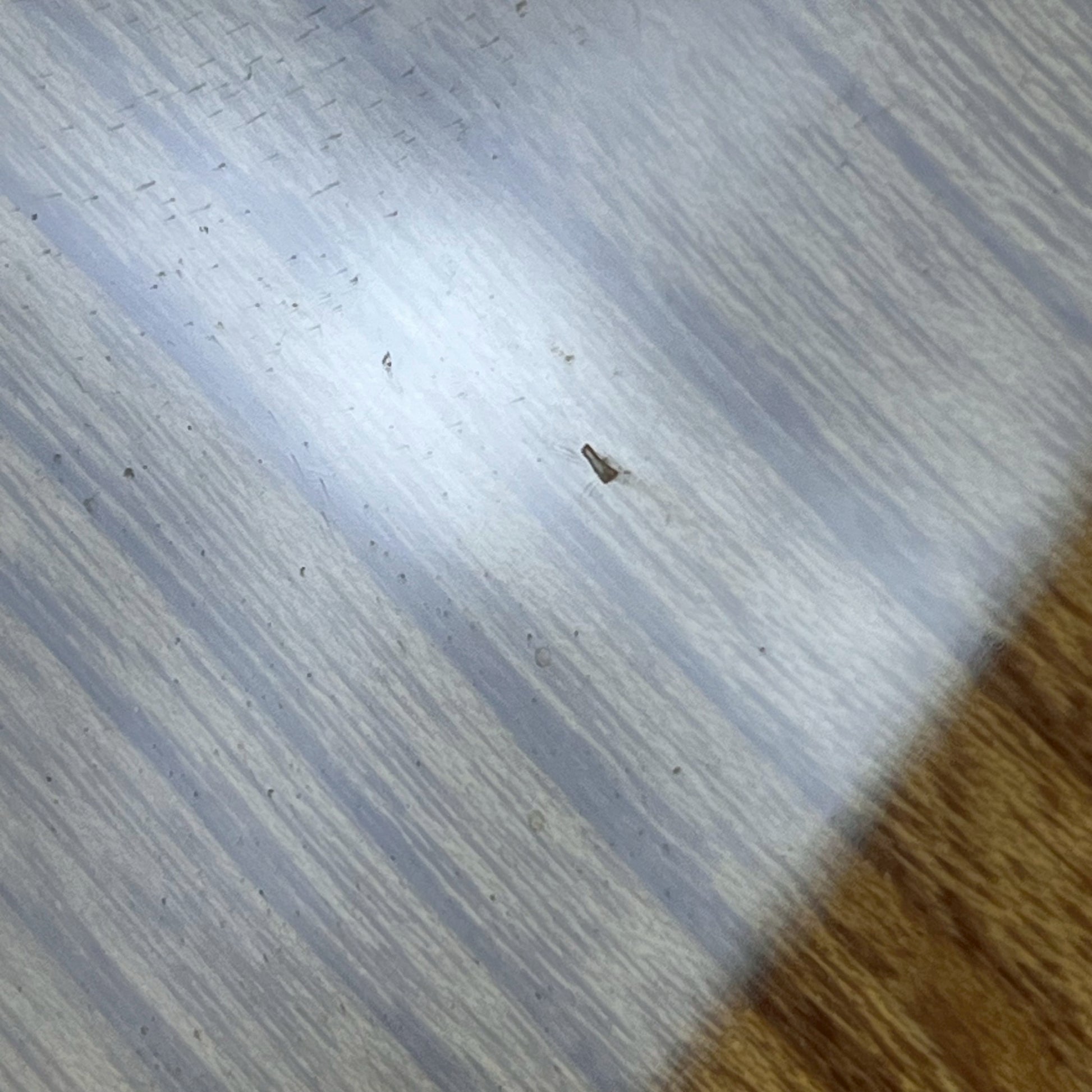 Bacchus BSH-ASH25 WRS/M