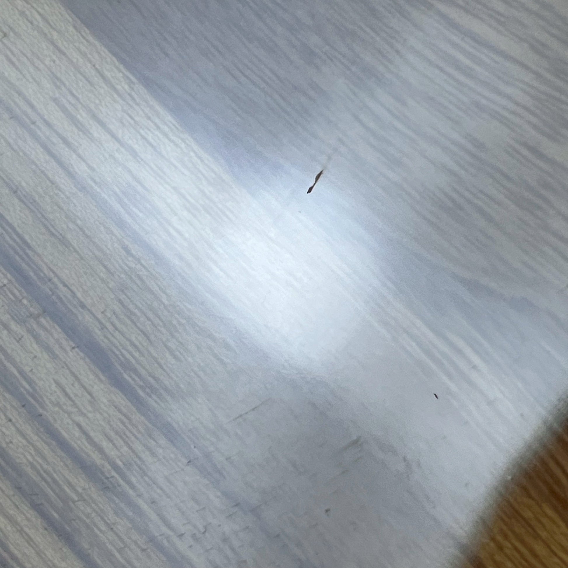 Bacchus BSH-ASH25 WRS/M