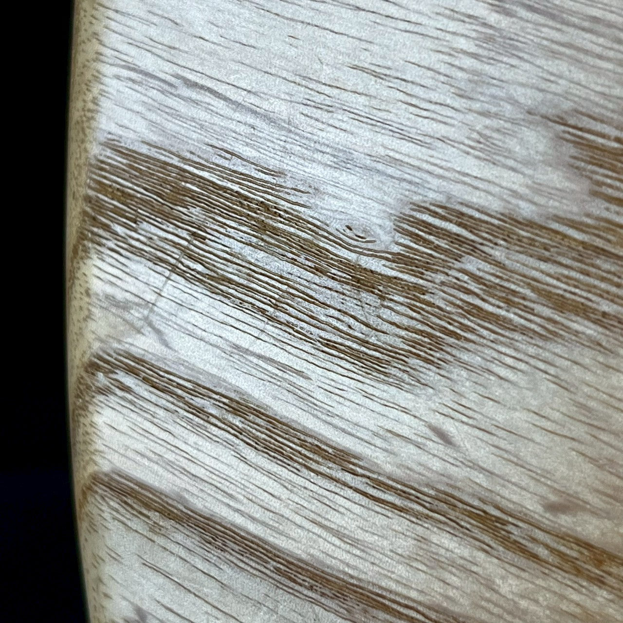 Bacchus Japan WL4 Ash