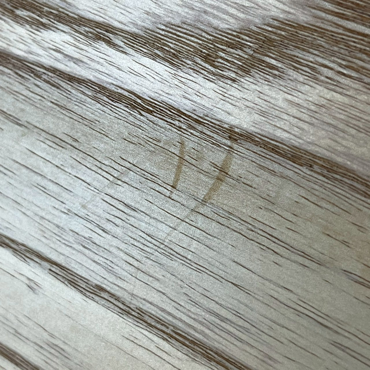 Bacchus Japan WL4 Ash