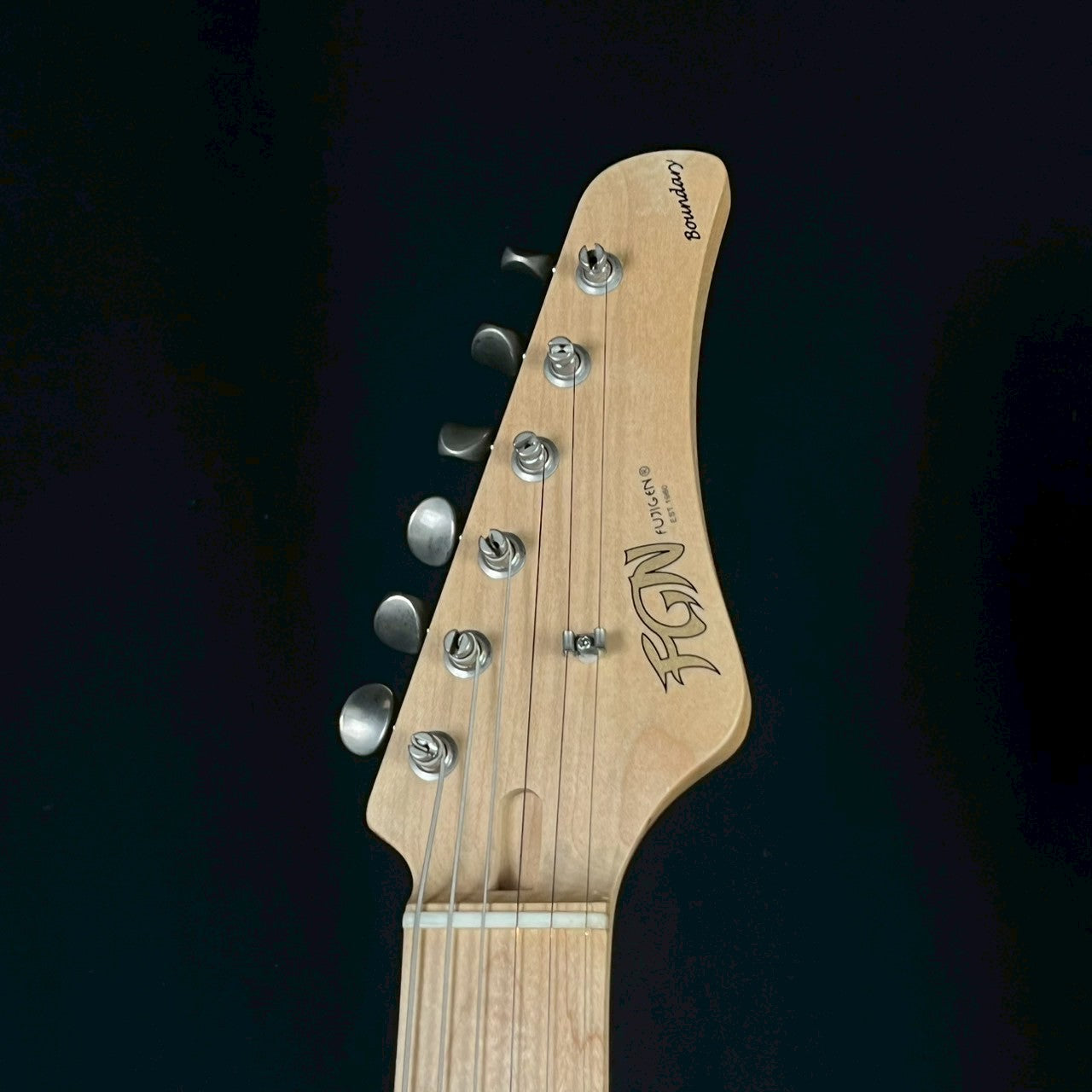 FGN Japan BST-HSS Stratocaster