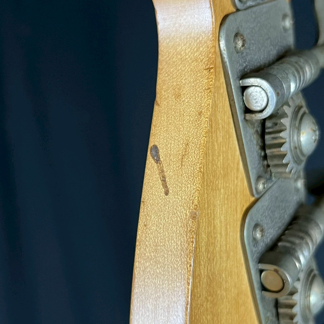 Bacchus Japan BJB-98 JIRO Jazz Bass