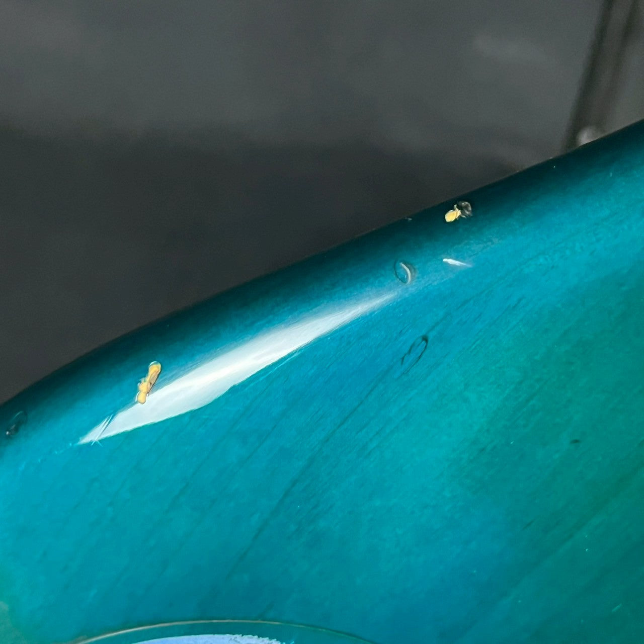 Bacchus Japan BJB-98 JIRO Jazz Bass