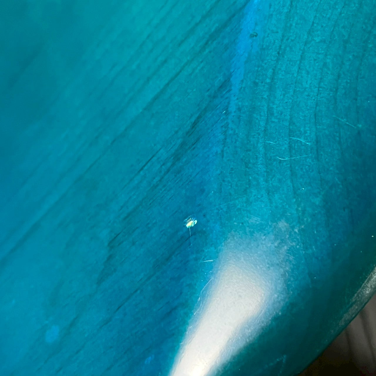 Bacchus Japan BJB-98 JIRO Jazz Bass