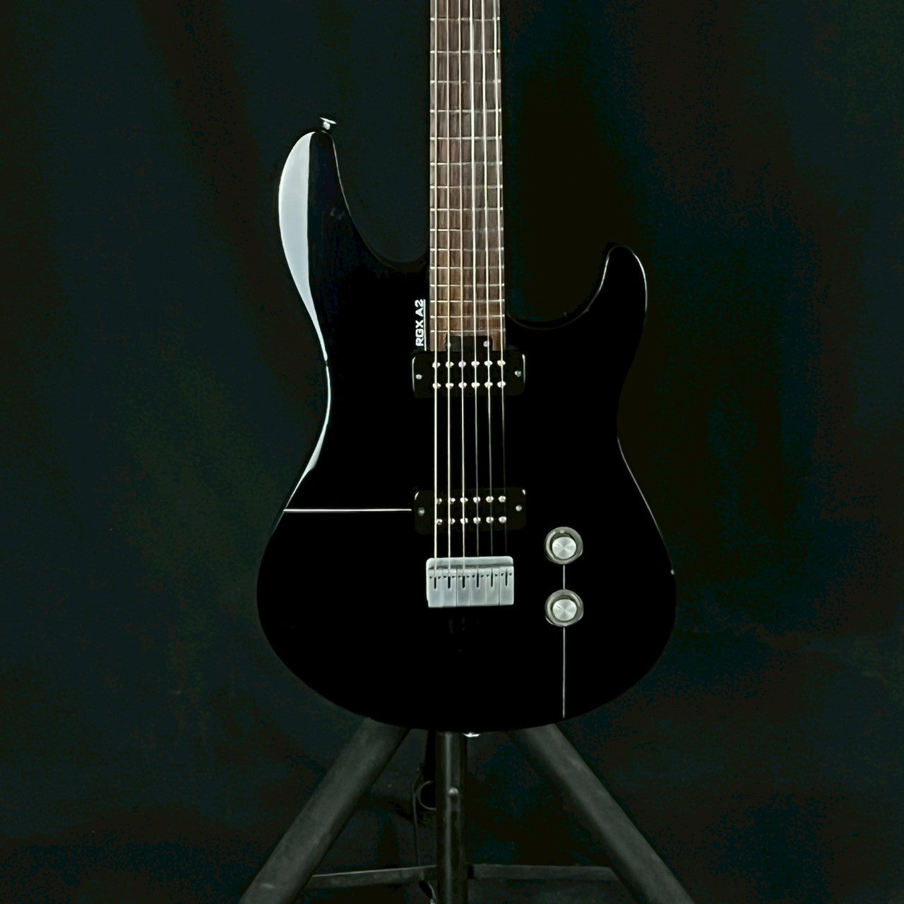 YAMAHA RGXA2