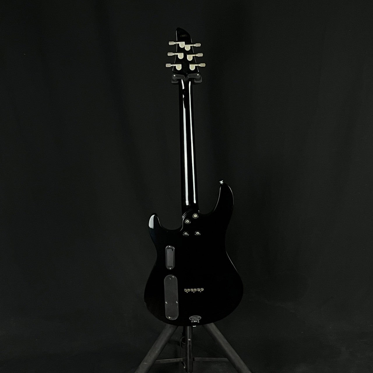 YAMAHA RGXA2