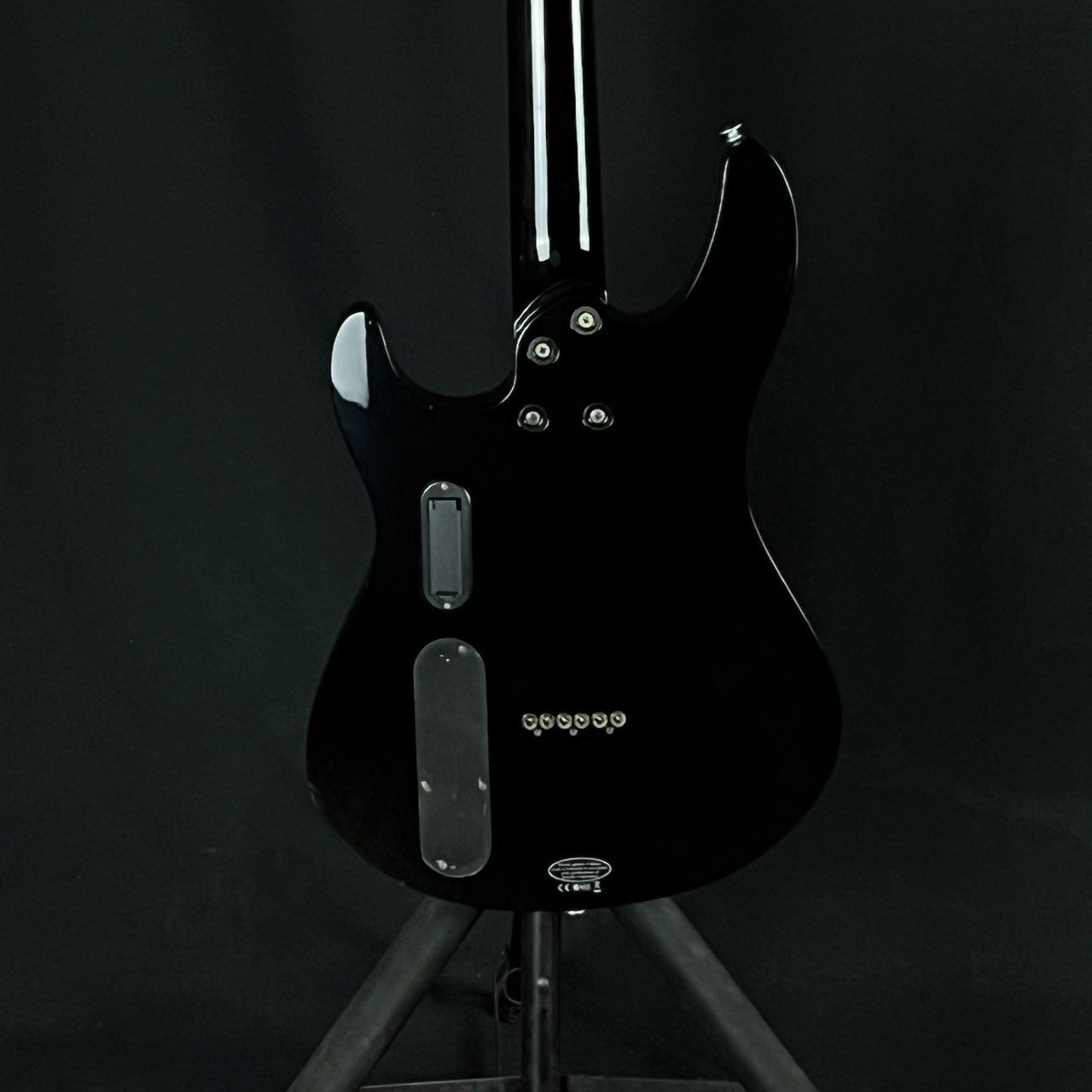 YAMAHA RGXA2