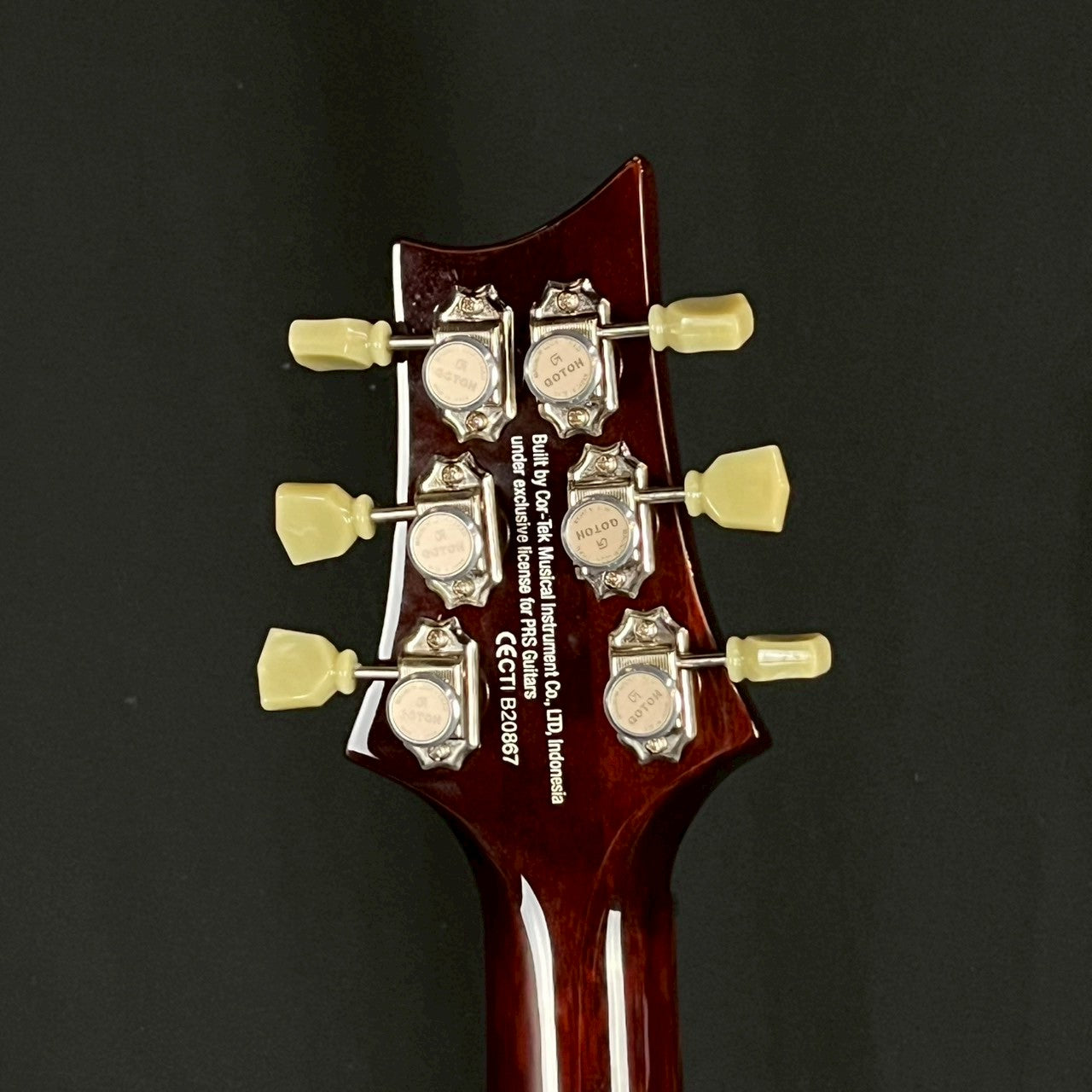 PRS SE Custom 24 2019 MOD