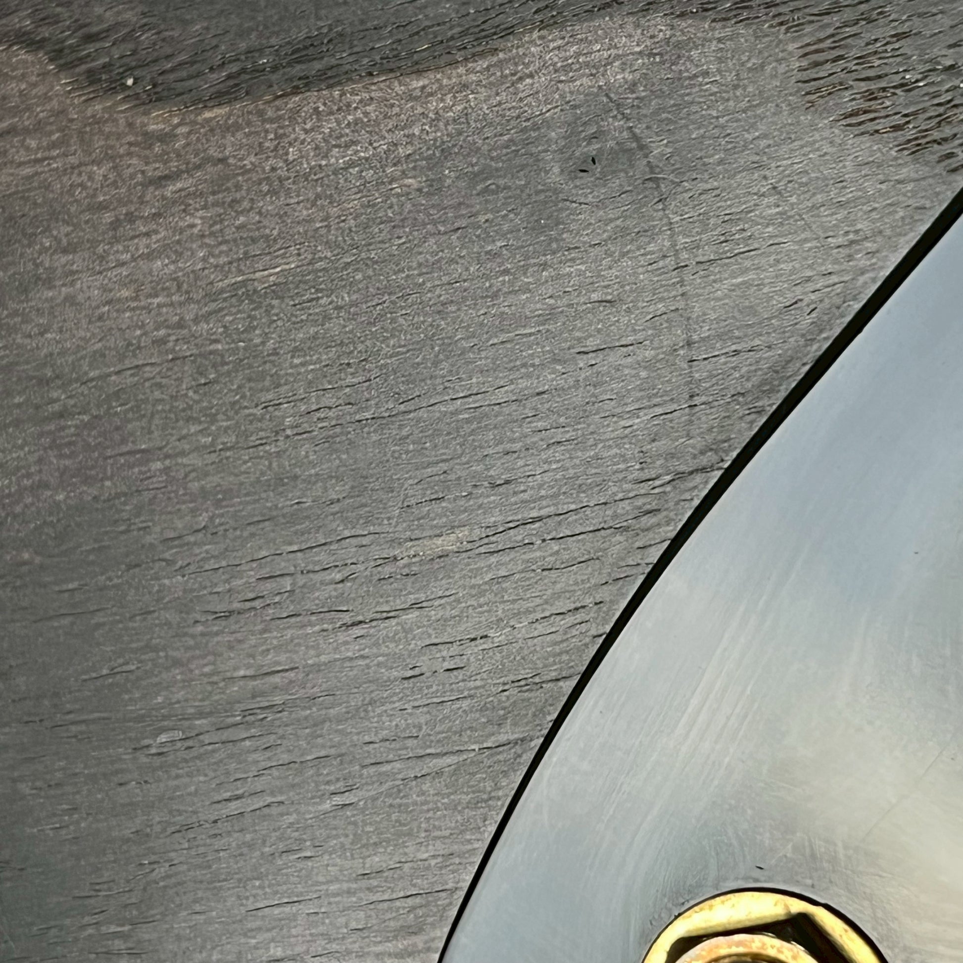 Bacchus Japan WOODLINE 4 Bass