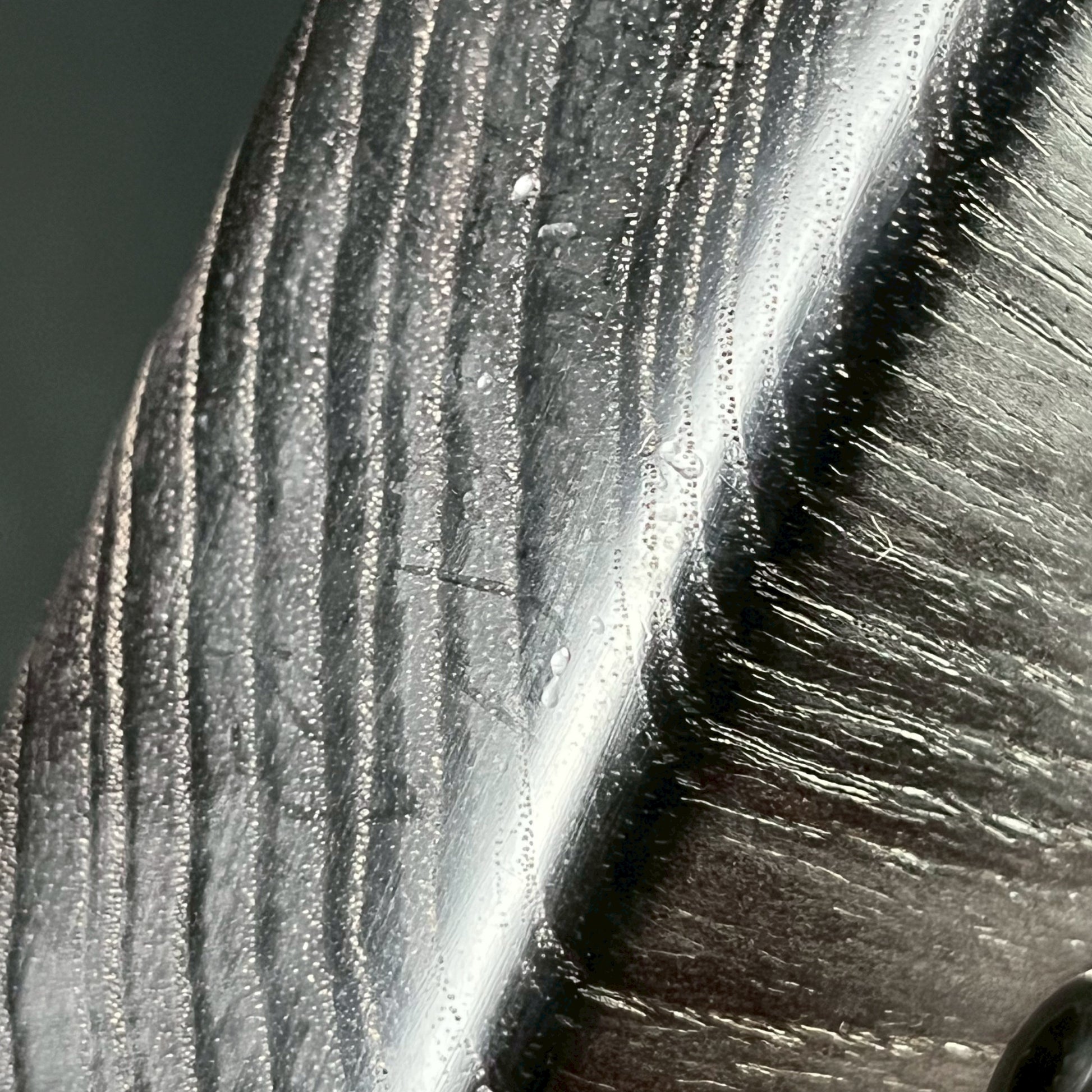 Bacchus Japan WOODLINE 4 Bass