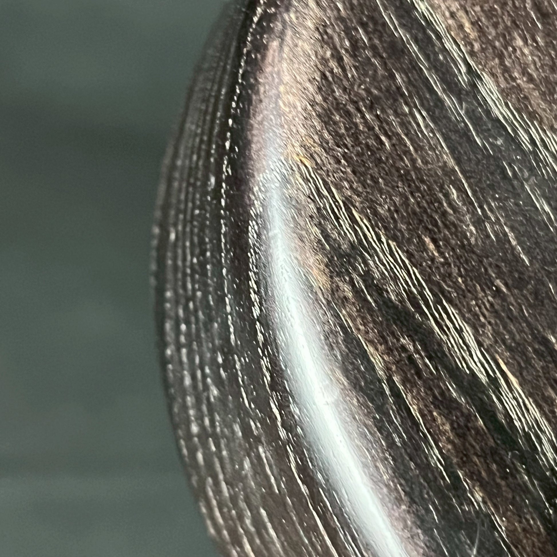 Bacchus Japan WOODLINE 4 Bass