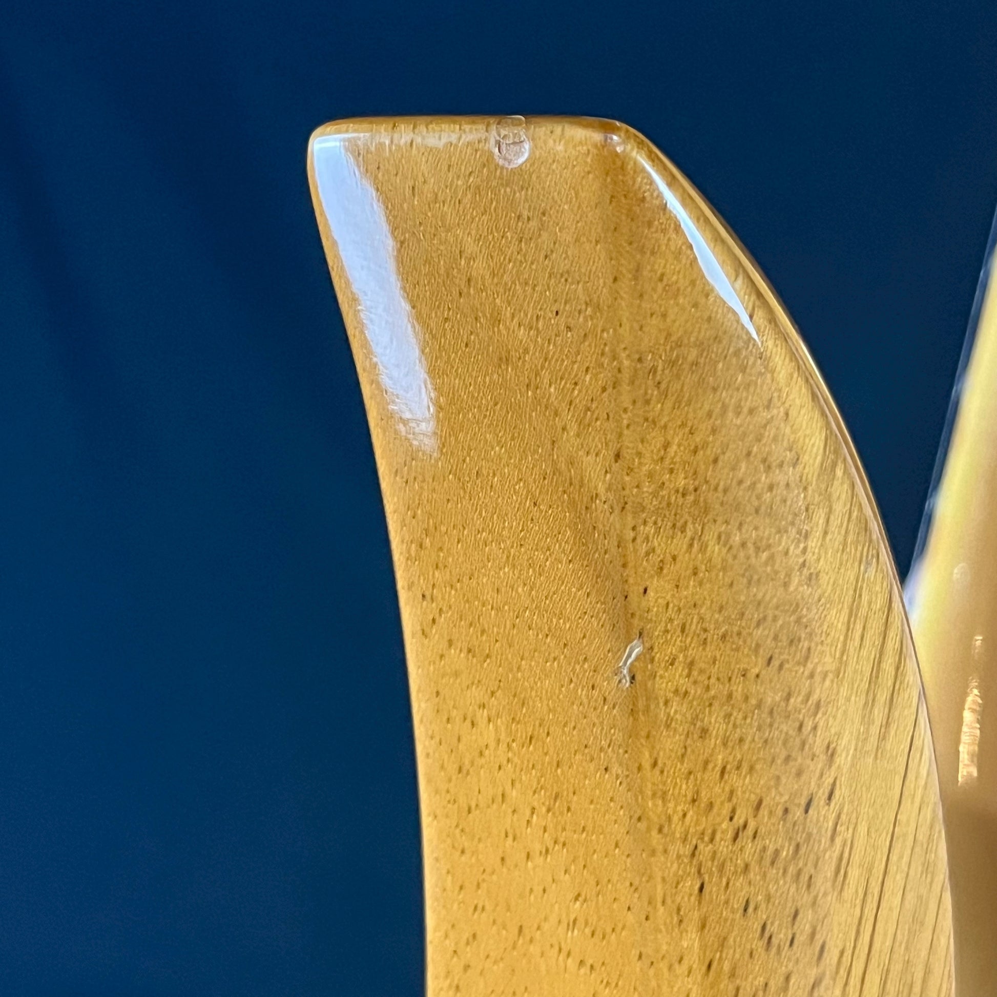 B.C.RICH Mockingbird EXOTIC CLASSIC