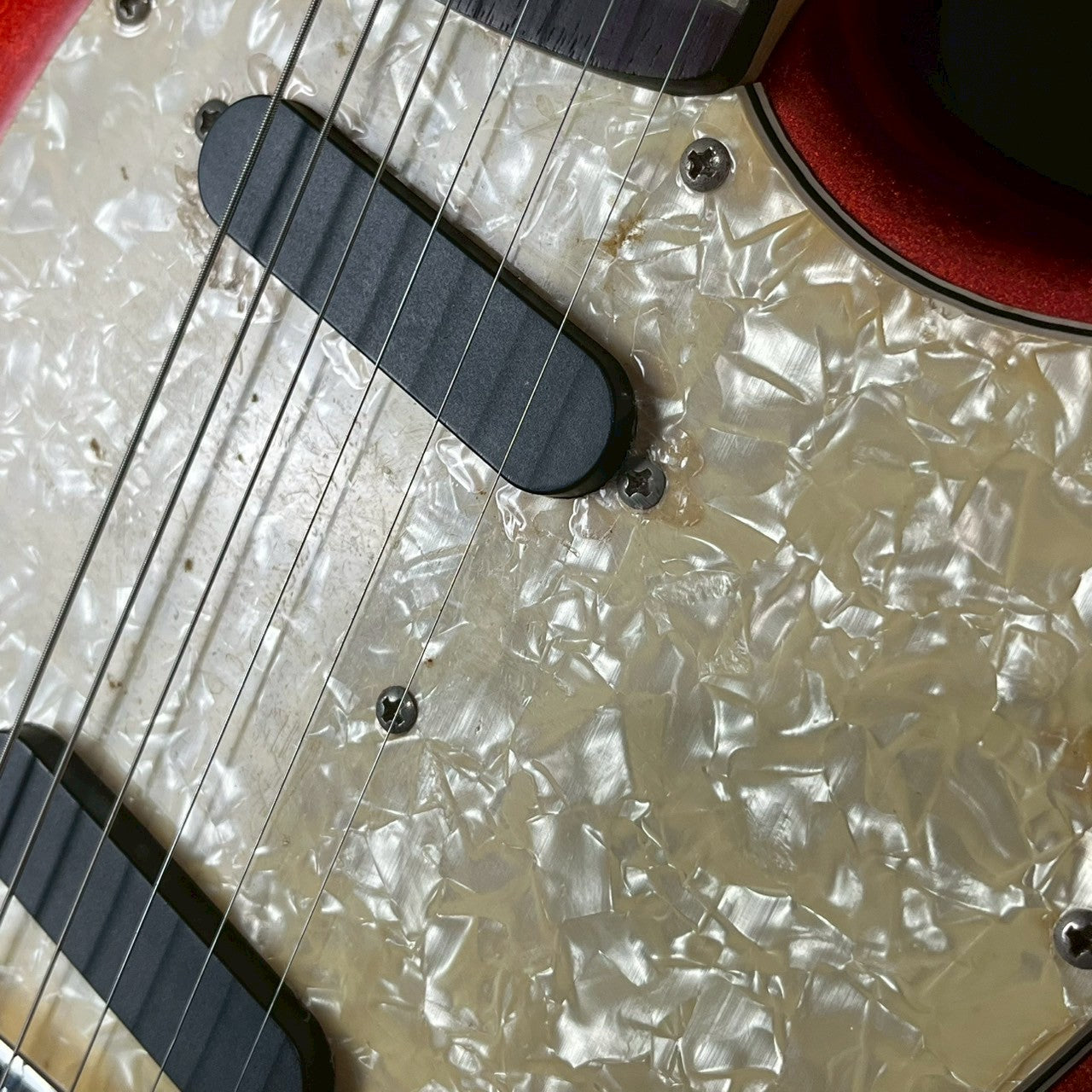 Bacchus Universe Series Mustang