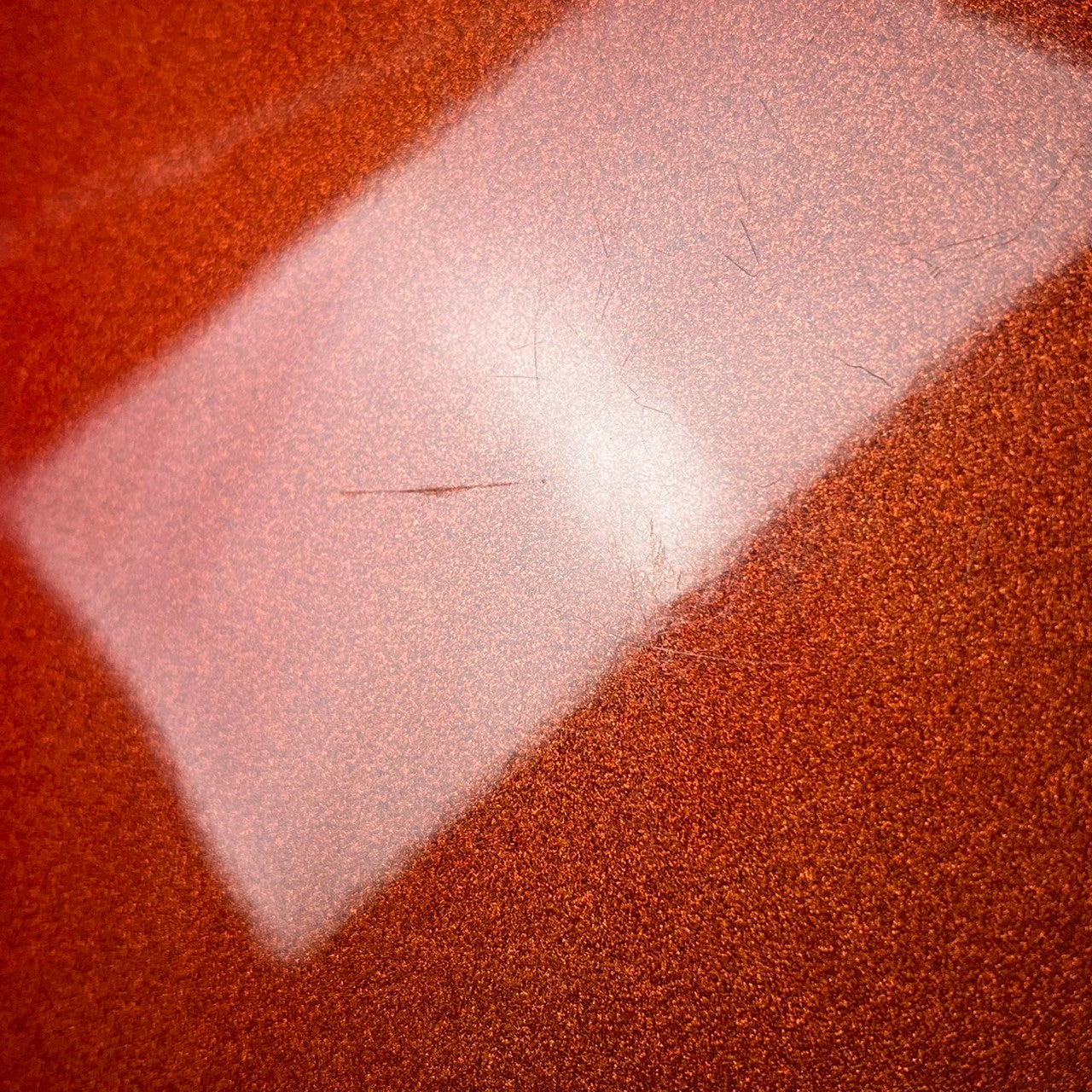 Bacchus Universe Series Mustang