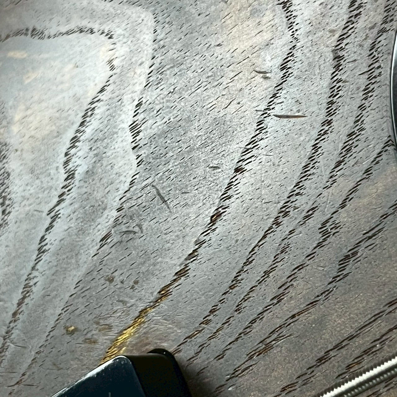 Bacchus Japan Jazz Bass