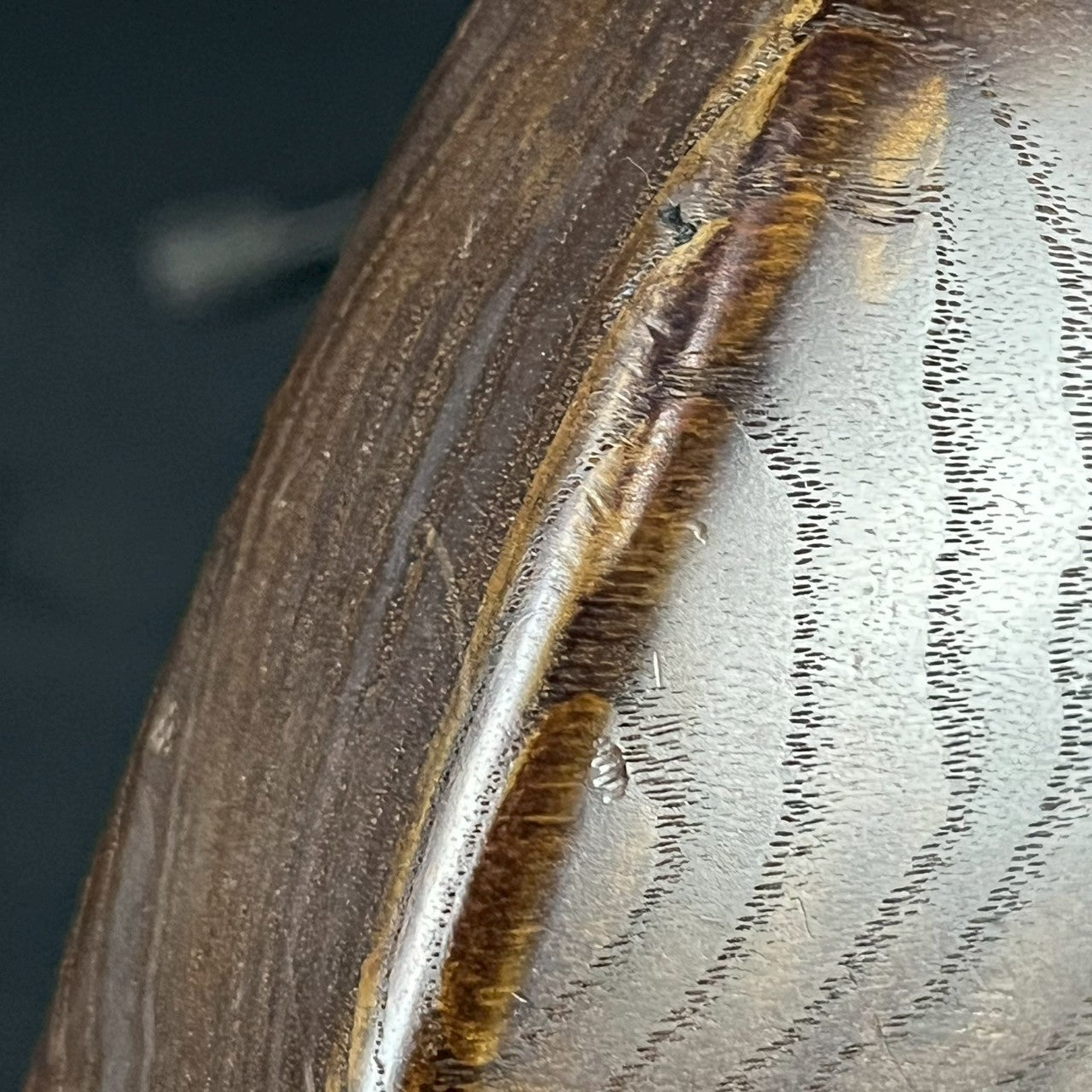 Bacchus Japan Jazz Bass