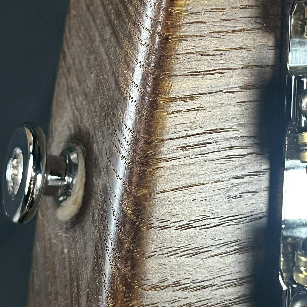 Bacchus Japan Jazz Bass