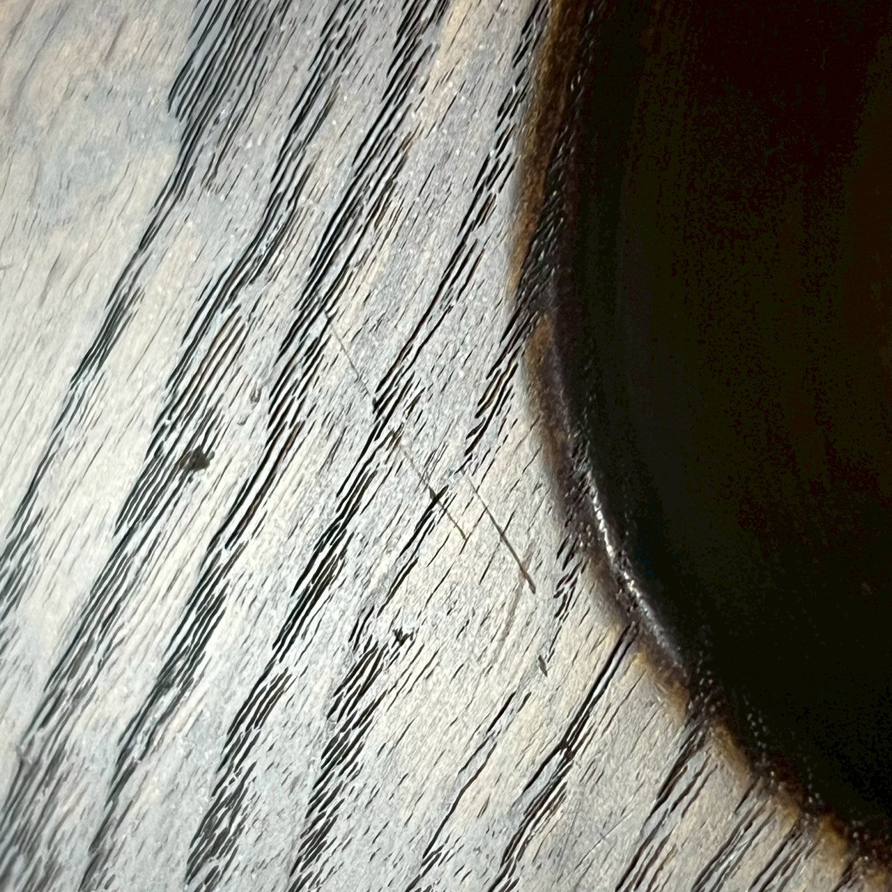 Bacchus Japan Jazz Bass