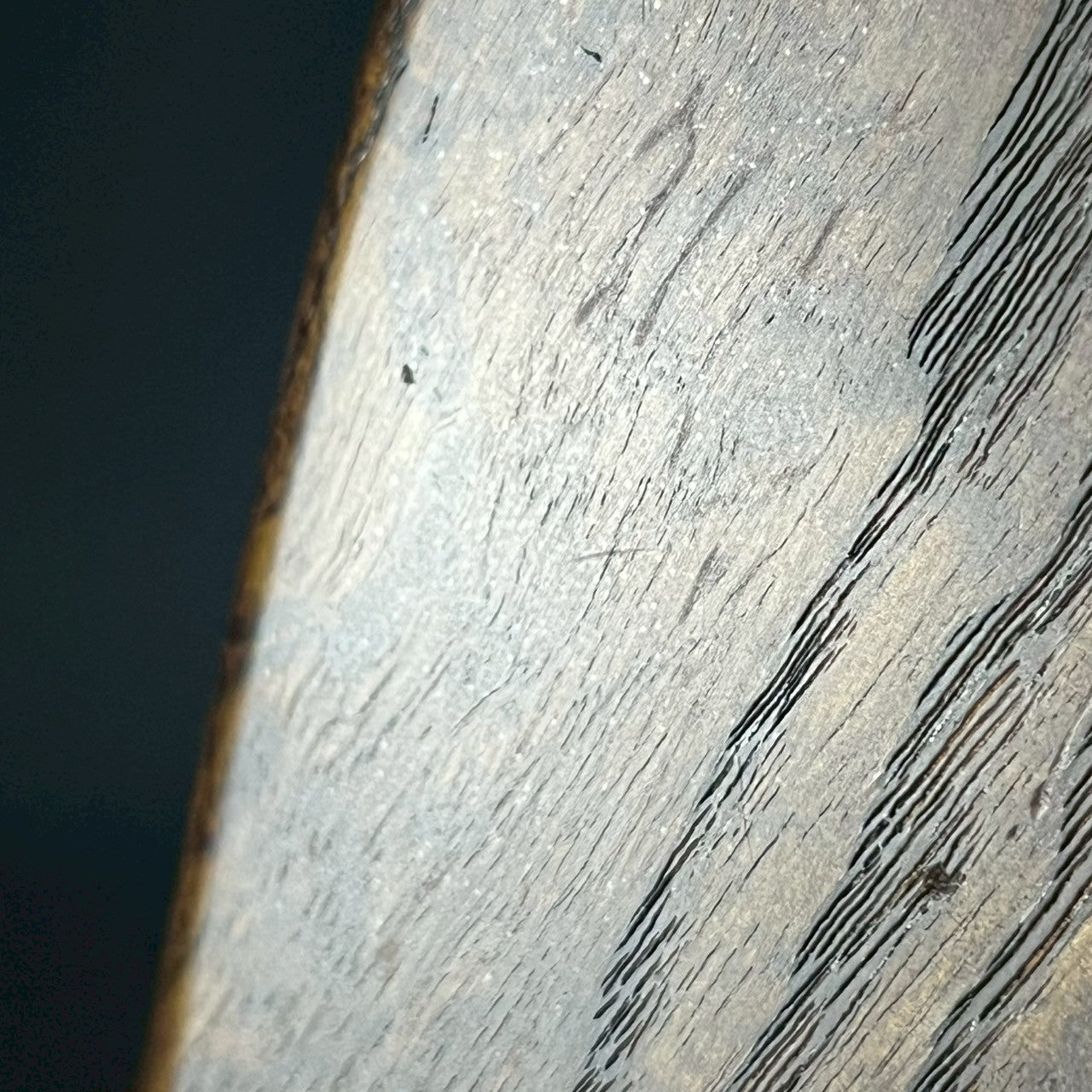 Bacchus Japan Jazz Bass