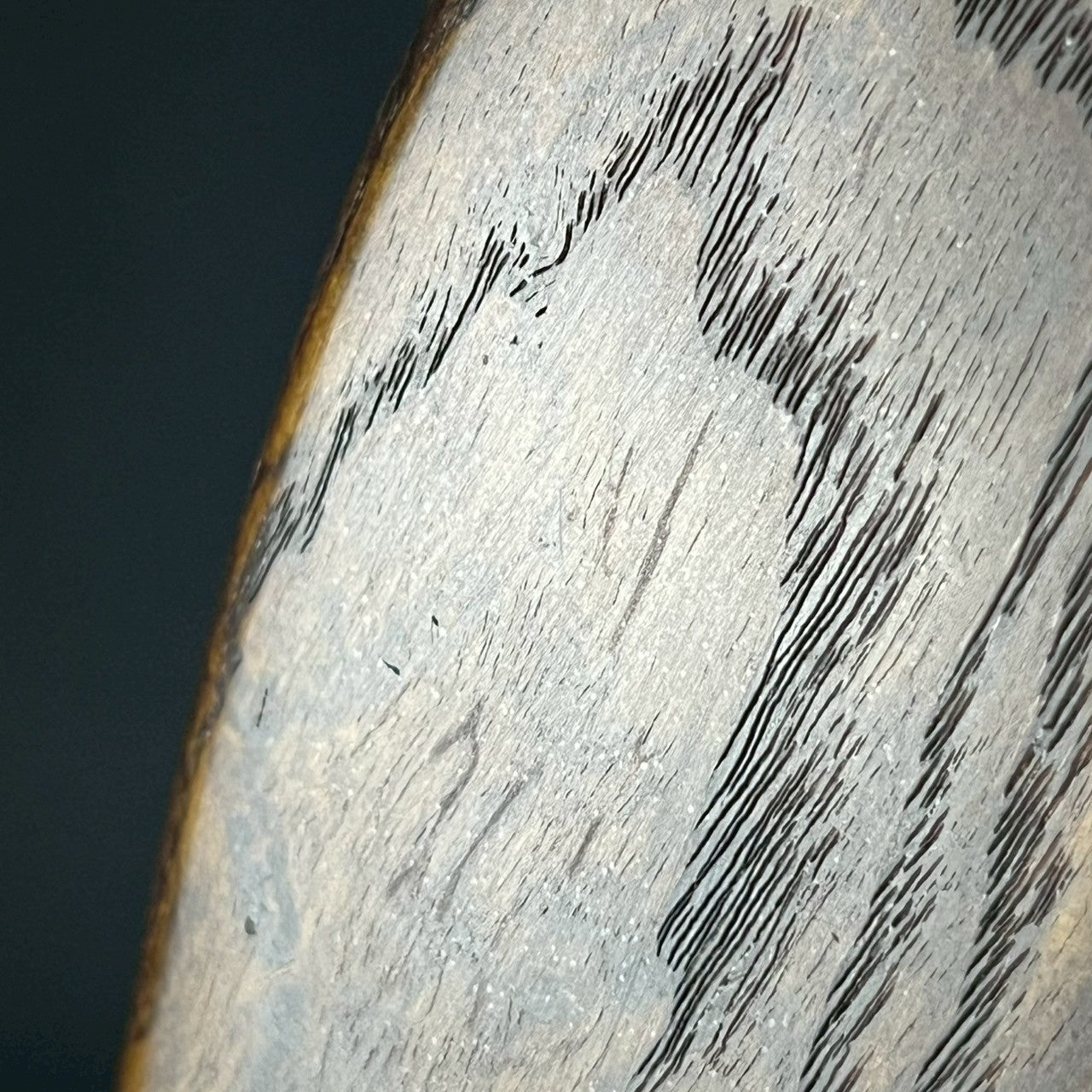 Bacchus Japan Jazz Bass