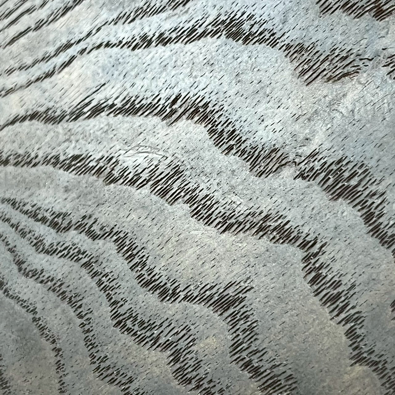 Bacchus Japan Jazz Bass