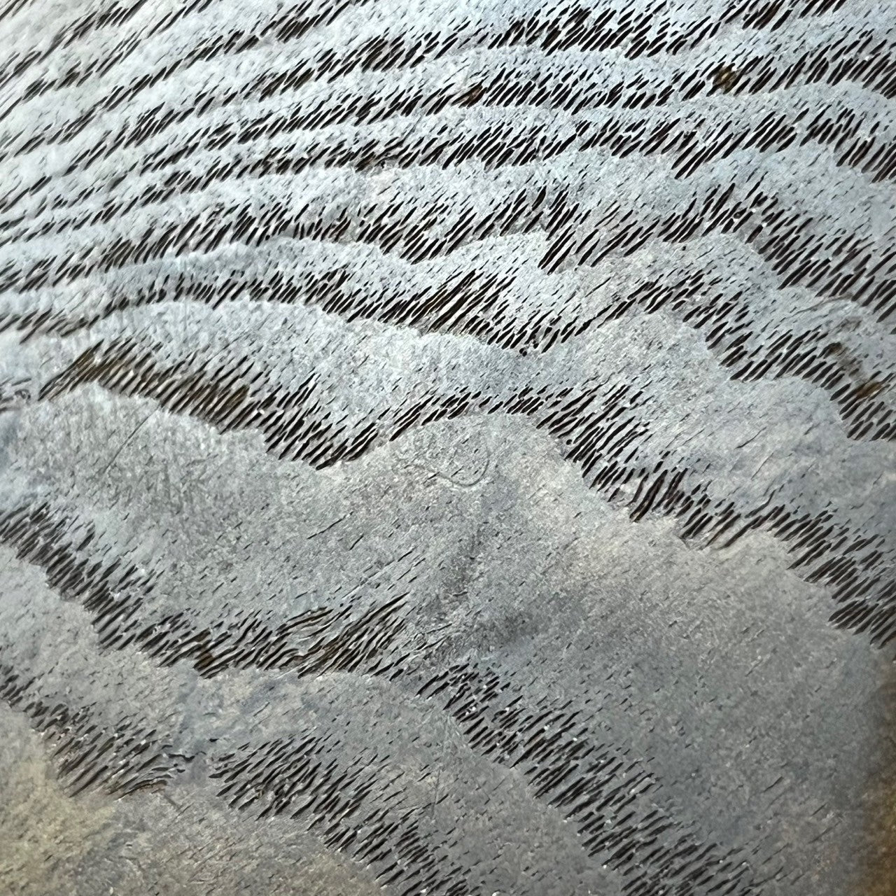 Bacchus Japan Jazz Bass