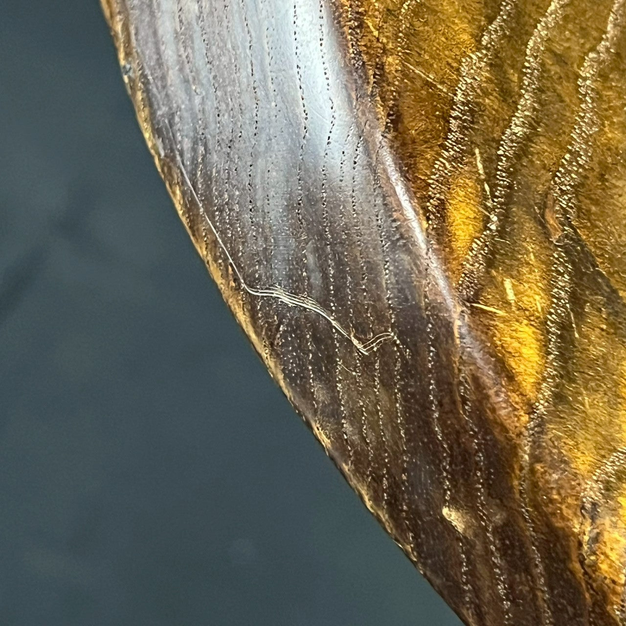 Bacchus Japan Jazz Bass