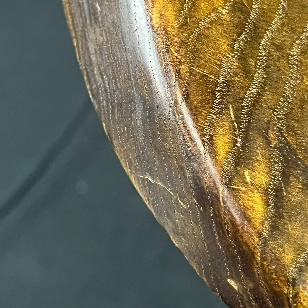 Bacchus Japan Jazz Bass