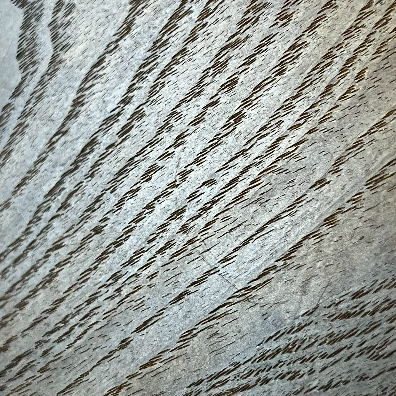 Bacchus Japan Jazz Bass