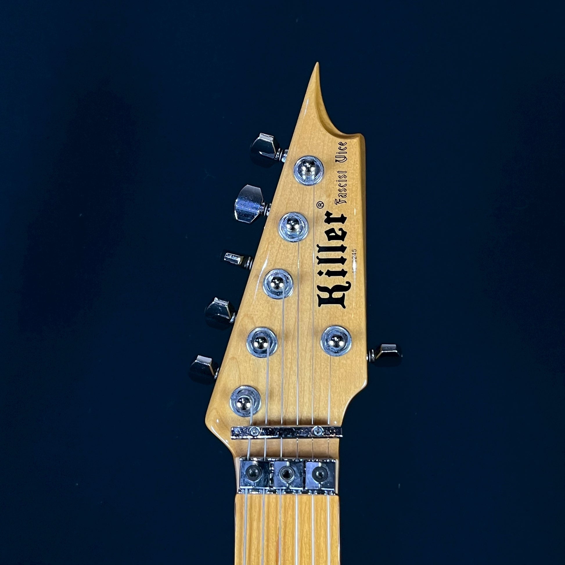 KILLER KG-FASCIST VICE