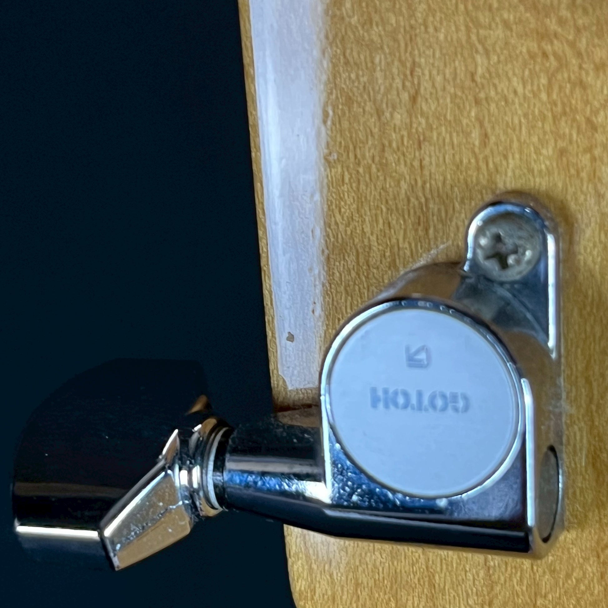 KILLER KG-FASCIST VICE