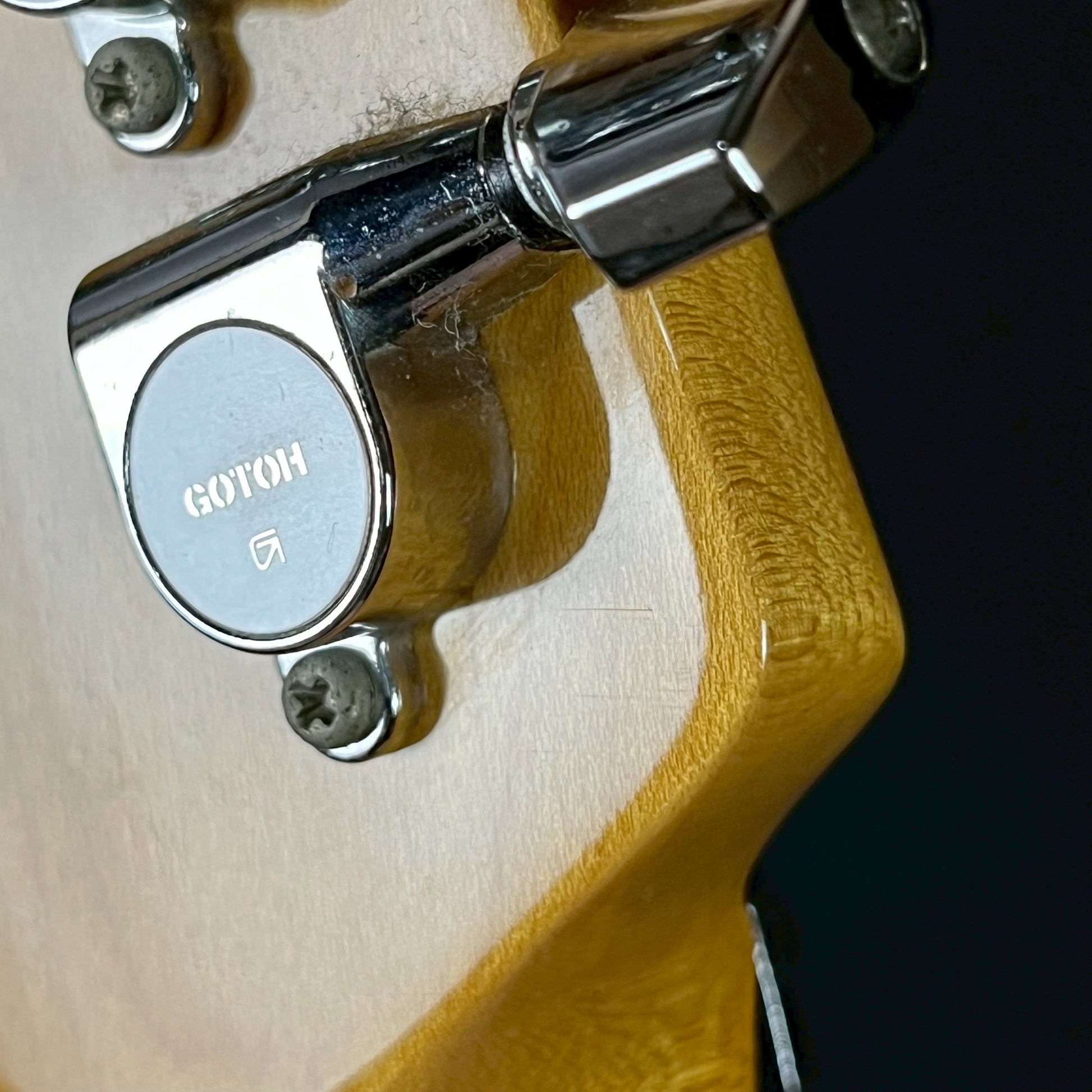 KILLER KG-FASCIST VICE