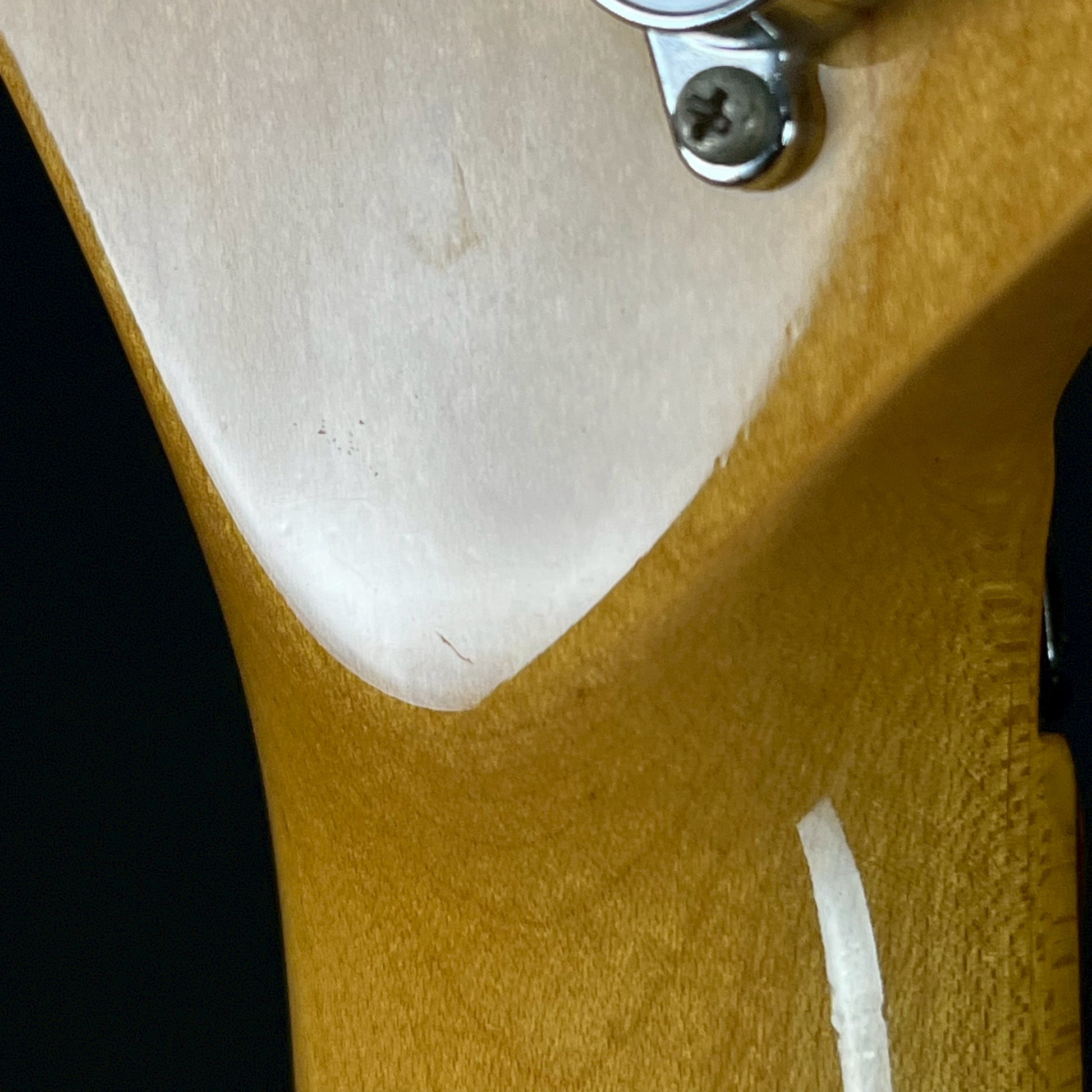 KILLER KG-FASCIST VICE