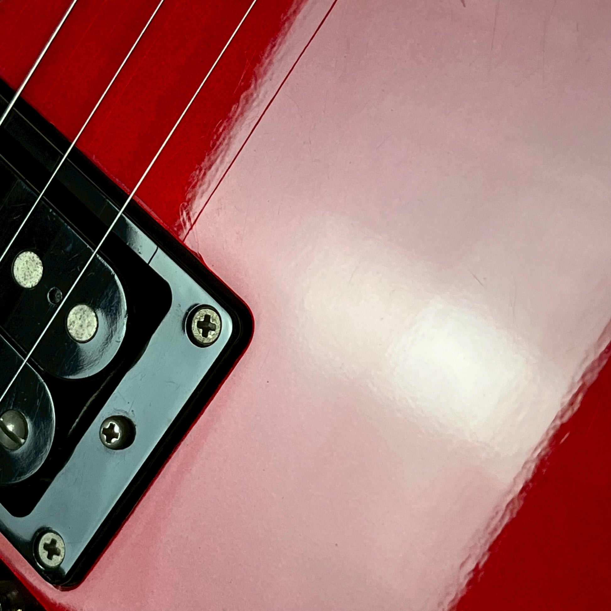 KILLER KG-FASCIST VICE