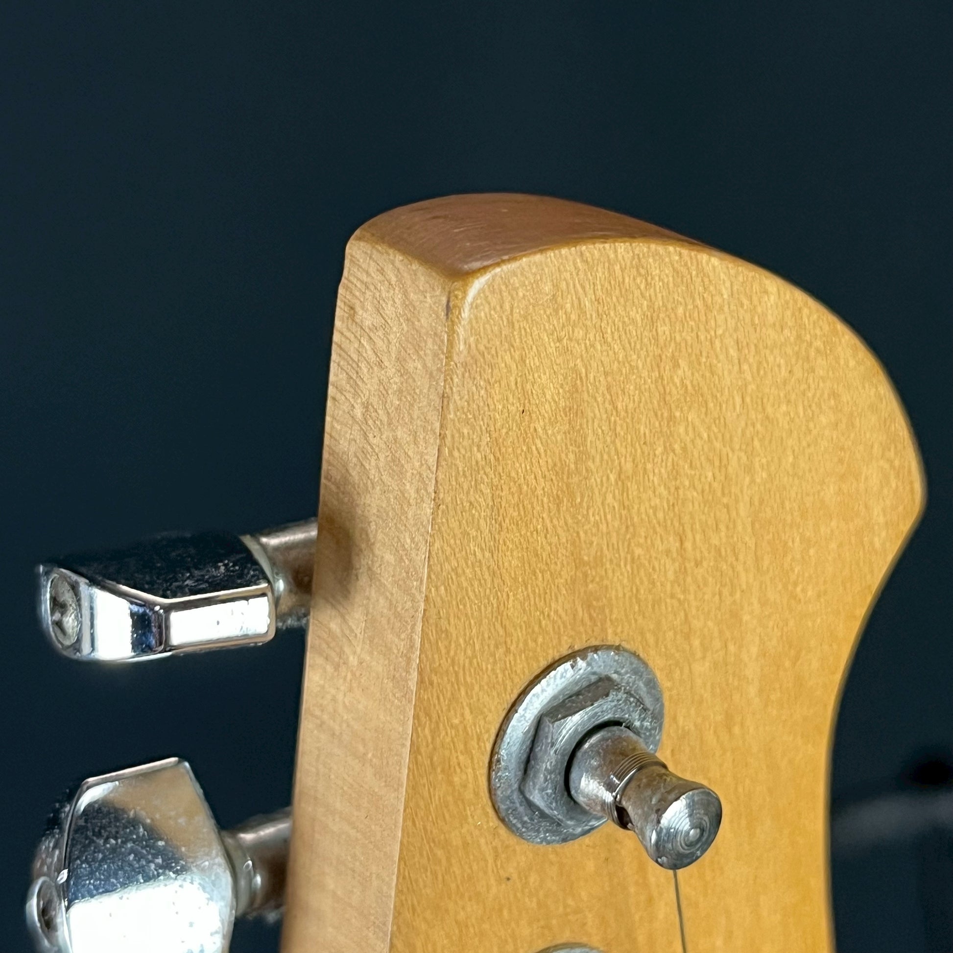 Line 6 Variax Standard