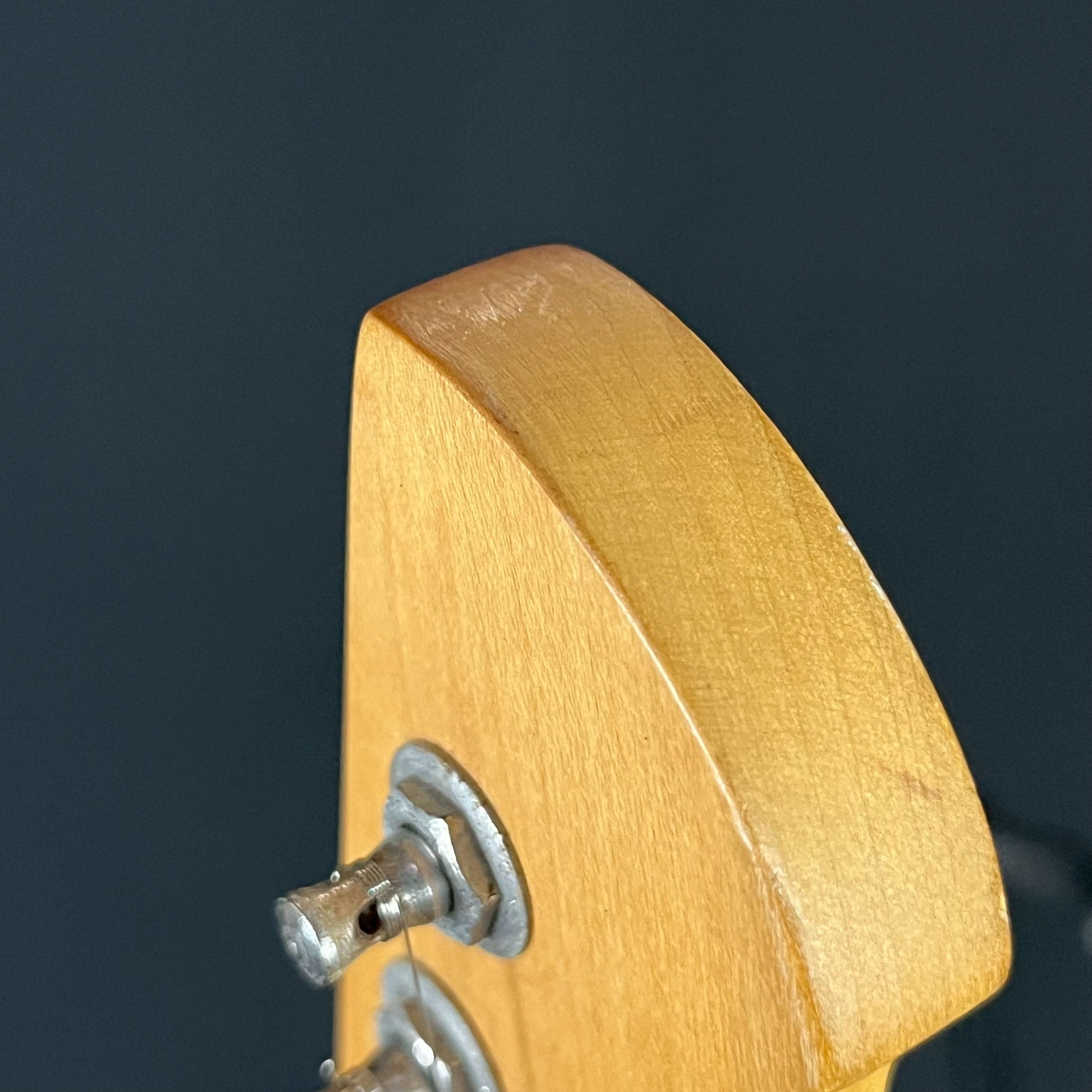 Line 6 Variax Standard