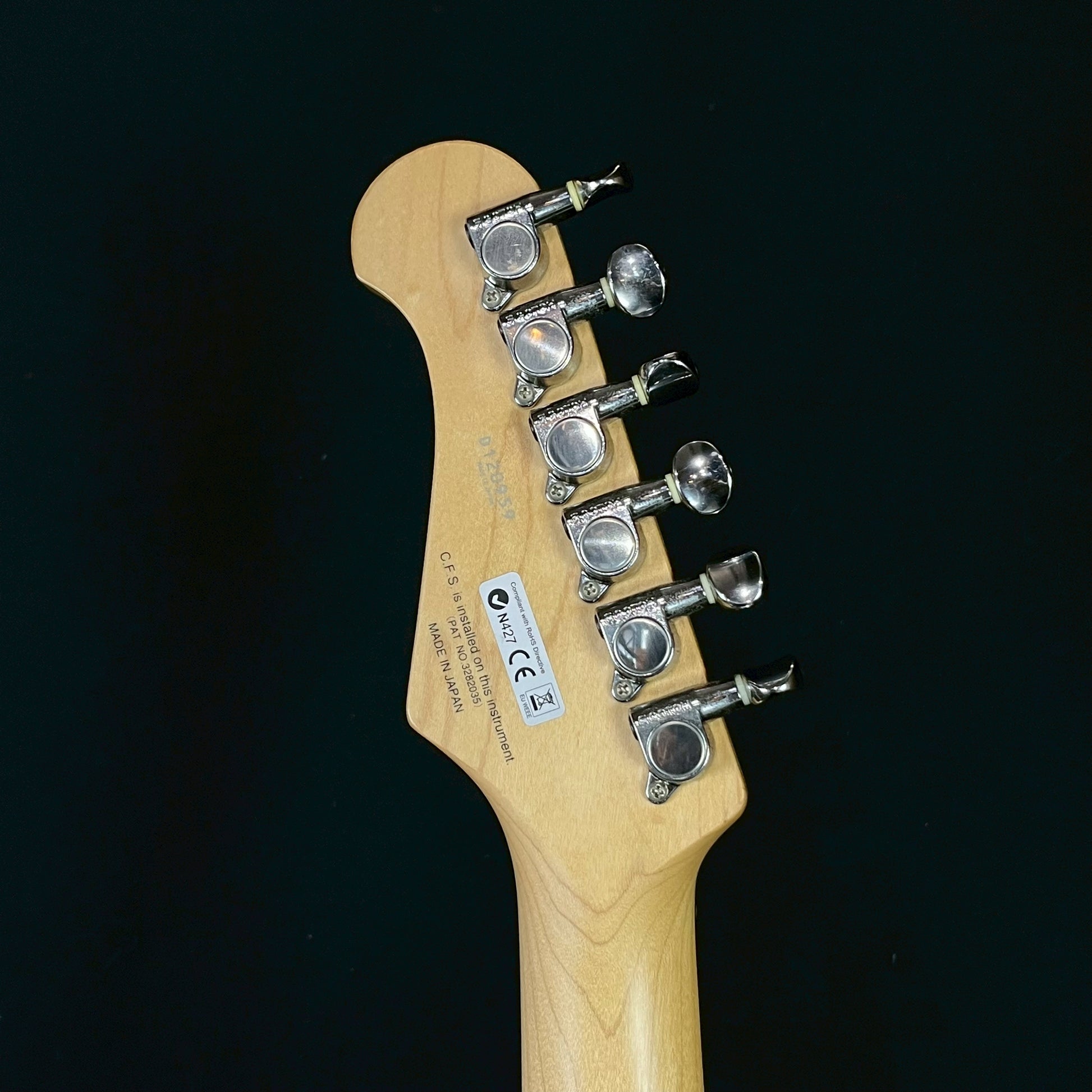 FGN Japan J-Standard Stratocaster