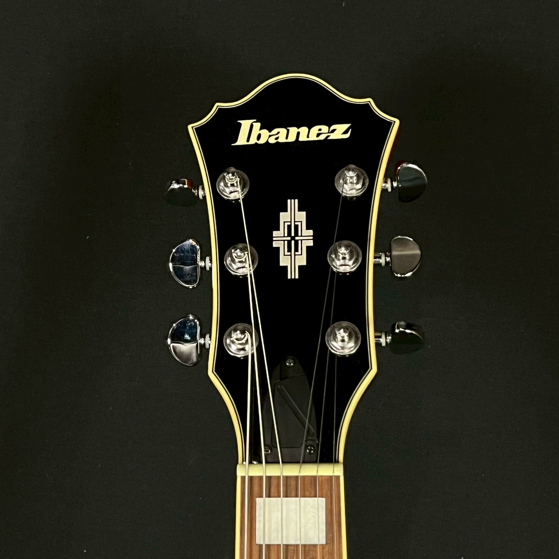 Ibanez AK81-VB