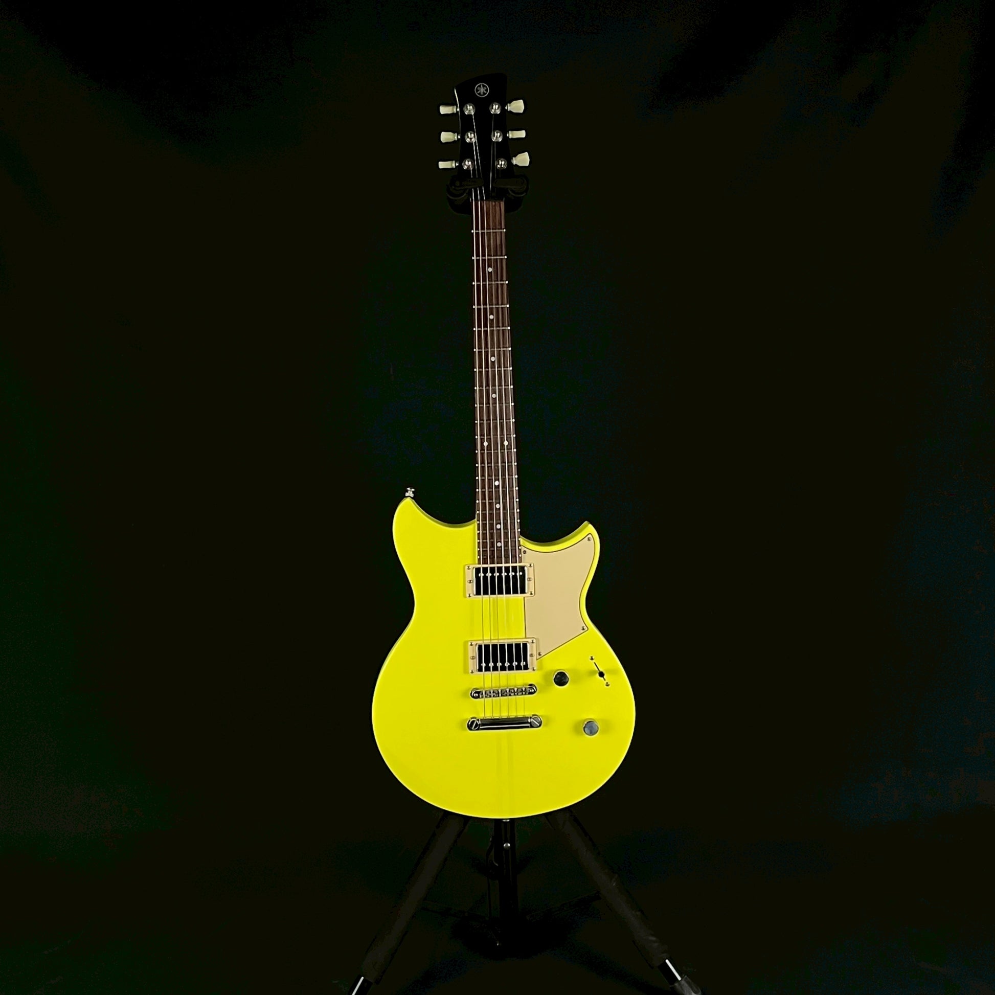 YAMAHA RSE20