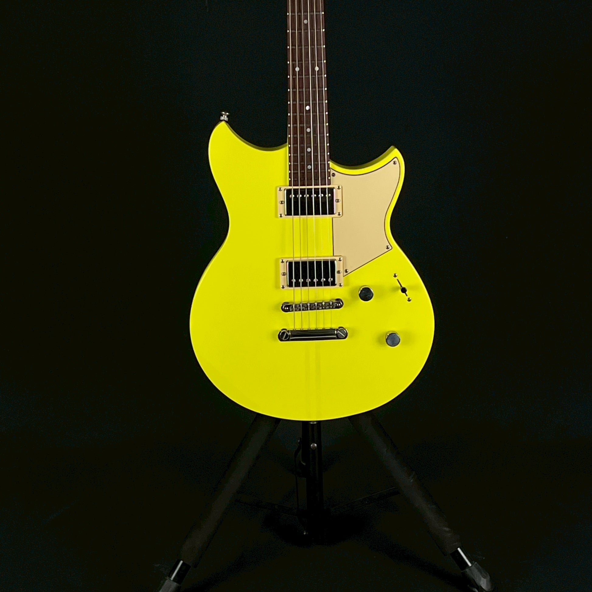 YAMAHA RSE20