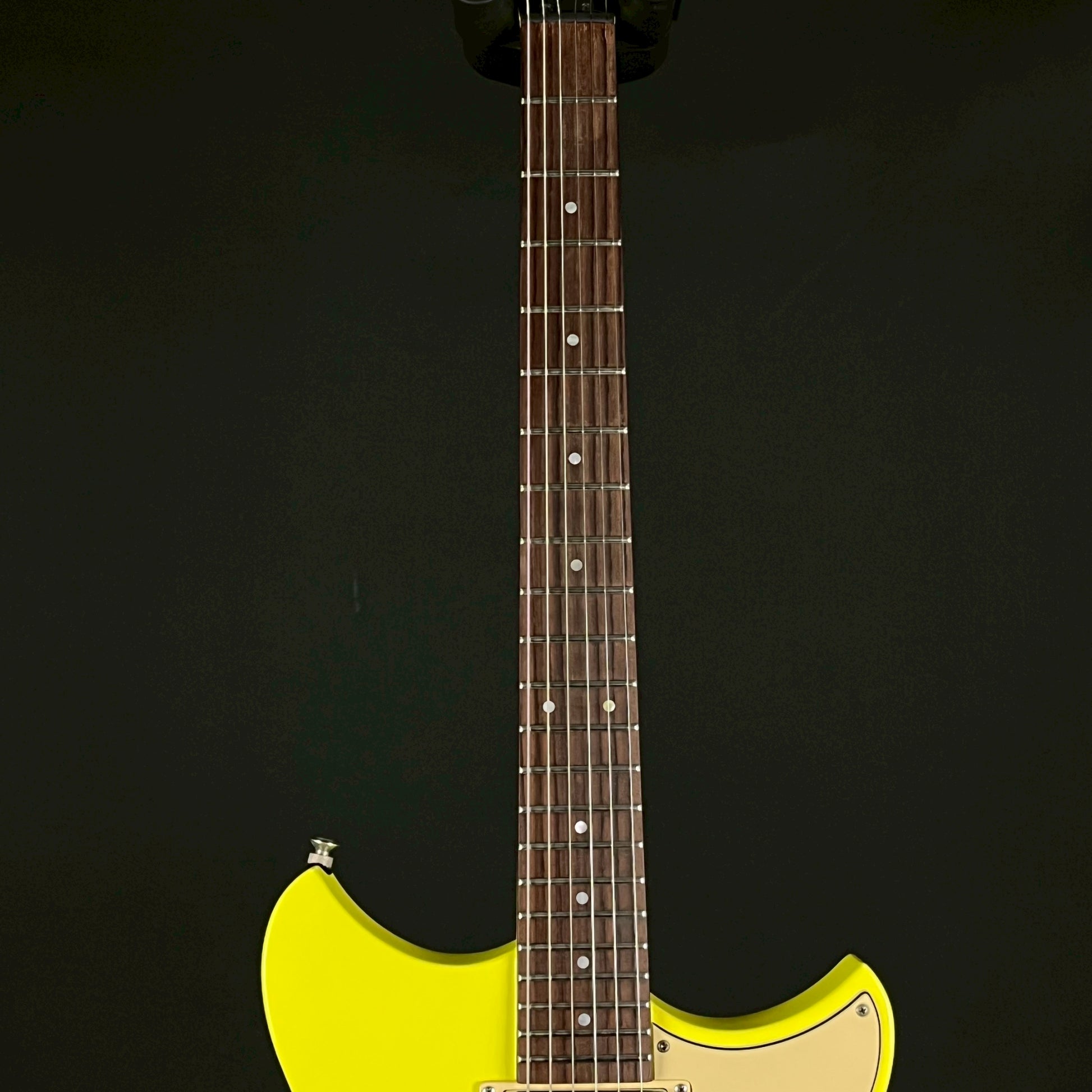 YAMAHA RSE20