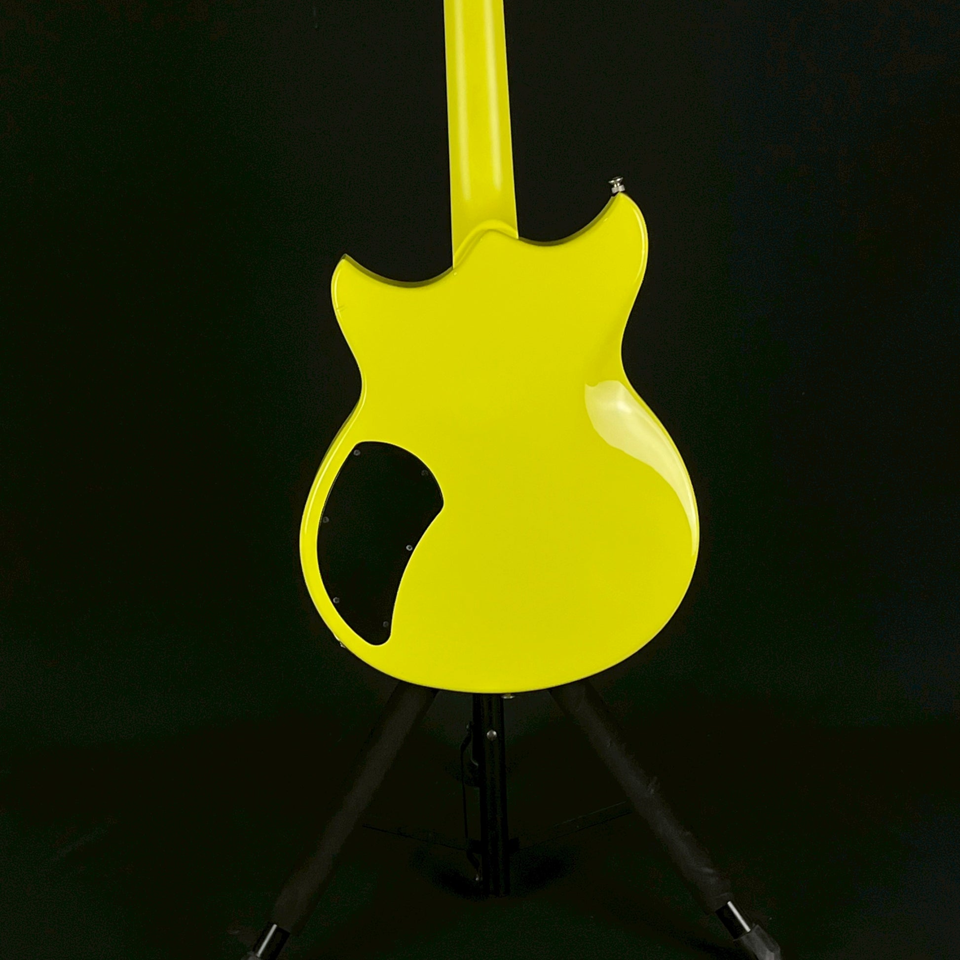 YAMAHA RSE20