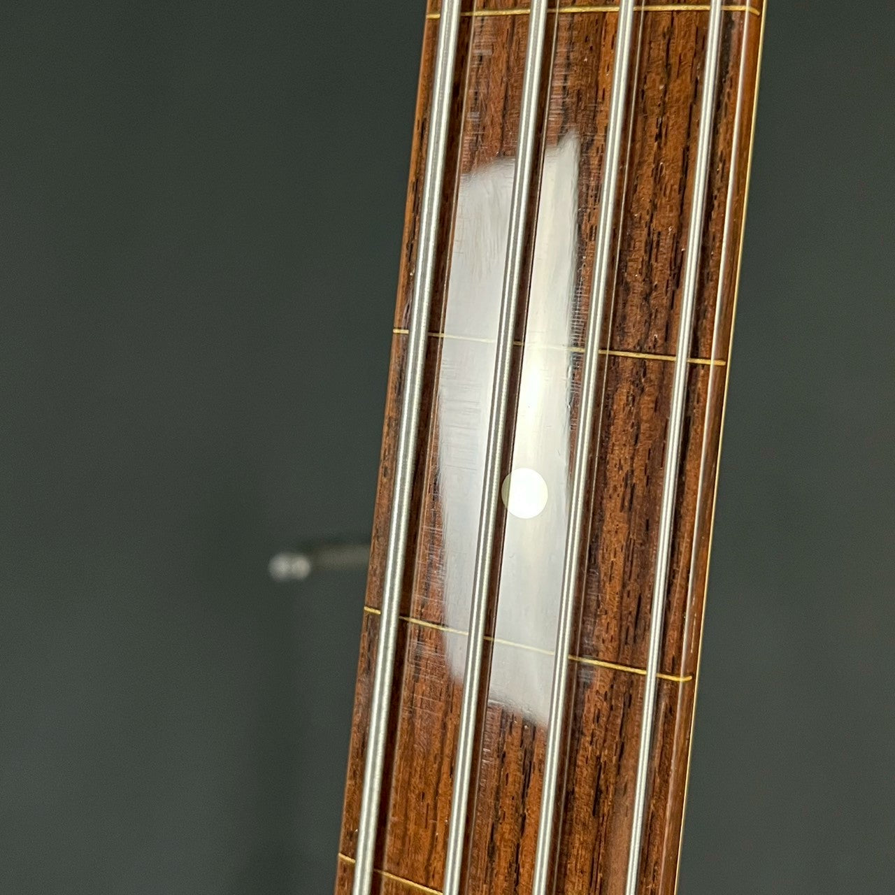 Bacchus HJB4-CLASSIC Fretless